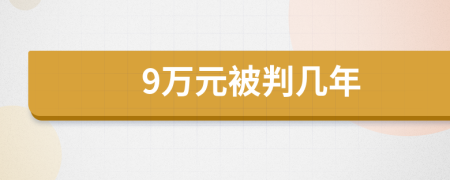 9万元被判几年