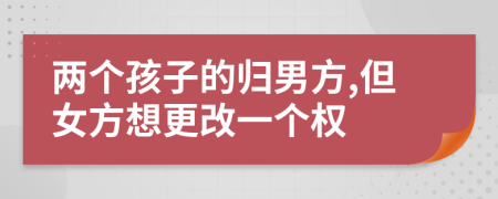 两个孩子的归男方,但女方想更改一个权