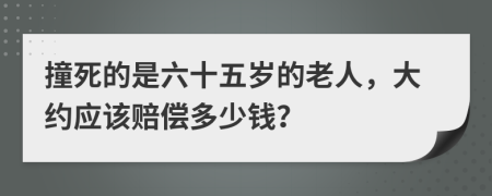 撞死的是六十五岁的老人，大约应该赔偿多少钱？