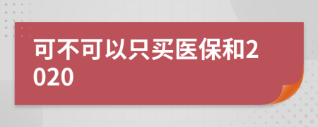 可不可以只买医保和2020
