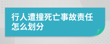 行人遭撞死亡事故责任怎么划分