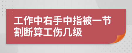 工作中右手中指被一节割断算工伤几级