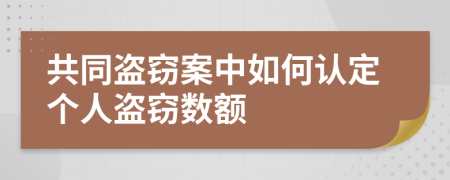 共同盗窃案中如何认定个人盗窃数额