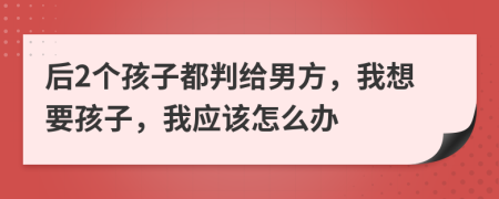 后2个孩子都判给男方，我想要孩子，我应该怎么办