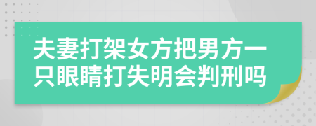 夫妻打架女方把男方一只眼睛打失明会判刑吗