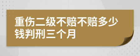 重伤二级不赔不赔多少钱判刑三个月