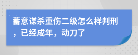 蓄意谋杀重伤二级怎么样判刑，已经成年，动刀了