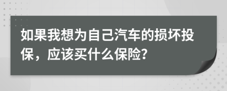 如果我想为自己汽车的损坏投保，应该买什么保险？