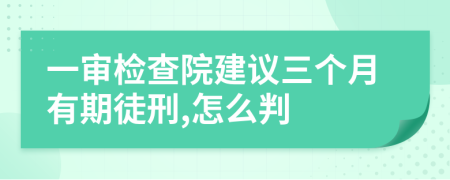 一审检查院建议三个月有期徒刑,怎么判