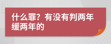 什么罪？有没有判两年缓两年的