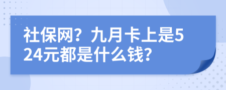 社保网？九月卡上是524元都是什么钱？