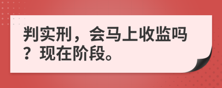 判实刑，会马上收监吗？现在阶段。