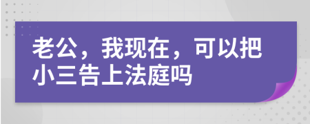 老公，我现在，可以把小三告上法庭吗