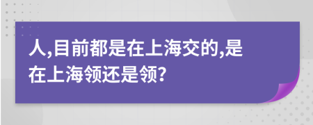 人,目前都是在上海交的,是在上海领还是领？