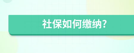 社保如何缴纳?