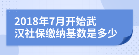 2018年7月开始武汉社保缴纳基数是多少