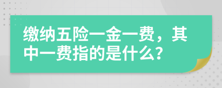 缴纳五险一金一费，其中一费指的是什么？