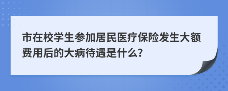 市在校学生参加居民医疗保险发生大额费用后的大病待遇是什么？