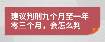 建议判刑九个月至一年零三个月，会怎么判