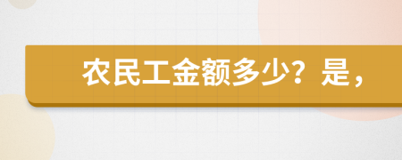 农民工金额多少？是，