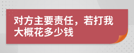 对方主要责任，若打我大概花多少钱