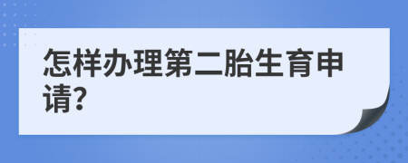 怎样办理第二胎生育申请？