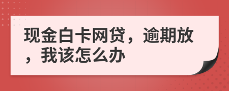 现金白卡网贷，逾期放，我该怎么办