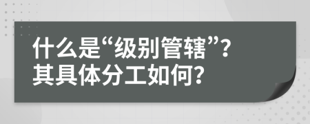 什么是“级别管辖”？其具体分工如何？