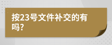 按23号文件补交的有吗?