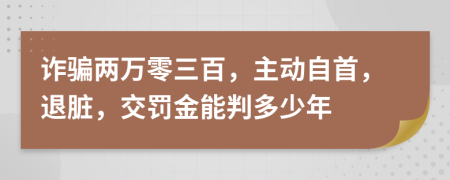 诈骗两万零三百，主动自首，退脏，交罚金能判多少年