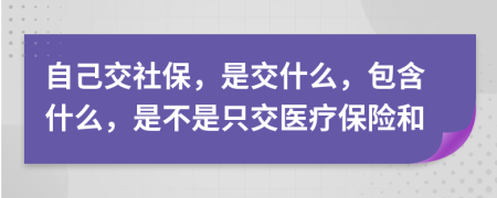 自己交社保，是交什么，包含什么，是不是只交医疗保险和