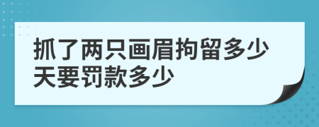 抓了两只画眉拘留多少天要罚款多少