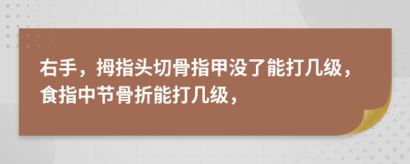 右手，拇指头切骨指甲没了能打几级，食指中节骨折能打几级，