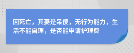 因死亡，其妻是呆傻，无行为能力，生活不能自理，是否能申请护理费