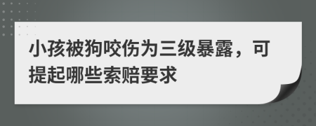 小孩被狗咬伤为三级暴露，可提起哪些索赔要求