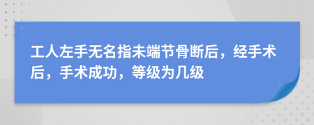 工人左手无名指未端节骨断后，经手术后，手术成功，等级为几级