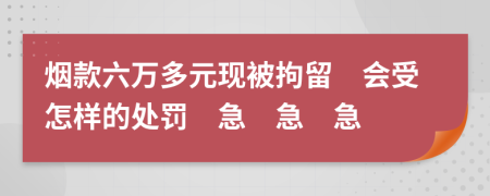 烟款六万多元现被拘留　会受怎样的处罚　急　急　急