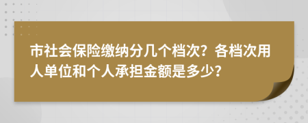 市社会保险缴纳分几个档次？各档次用人单位和个人承担金额是多少？