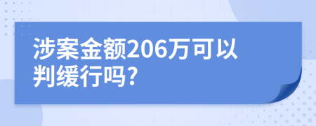 涉案金额206万可以判缓行吗?