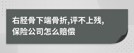 右胫骨下端骨折,评不上残,保险公司怎么赔偿