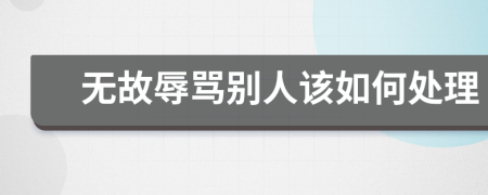 无故辱骂别人该如何处理