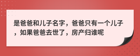 是爸爸和儿子名字，爸爸只有一个儿子，如果爸爸去世了，房产归谁呢