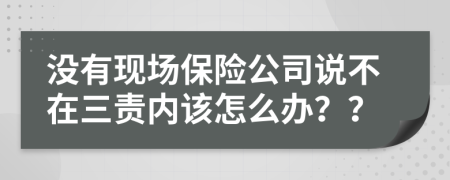 没有现场保险公司说不在三责内该怎么办？？