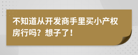 不知道从开发商手里买小产权房行吗？想子了！
