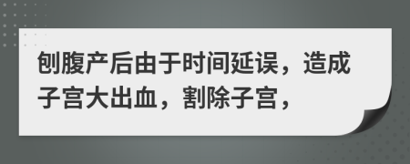 刨腹产后由于时间延误，造成子宫大出血，割除子宫，