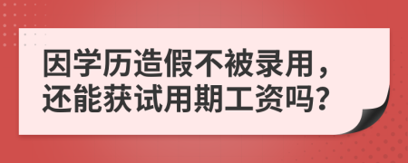 因学历造假不被录用，还能获试用期工资吗？