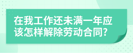 在我工作还未满一年应该怎样解除劳动合同?