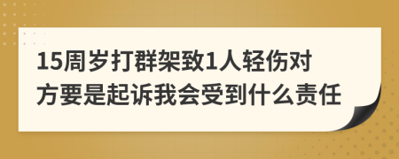 15周岁打群架致1人轻伤对方要是起诉我会受到什么责任