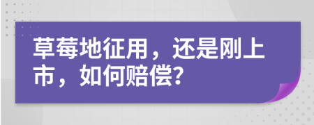 草莓地征用，还是刚上市，如何赔偿？