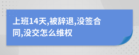 上班14天,被辞退,没签合同,没交怎么维权